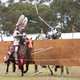 Image: Gareth Carr / Ku-ring-gai Council